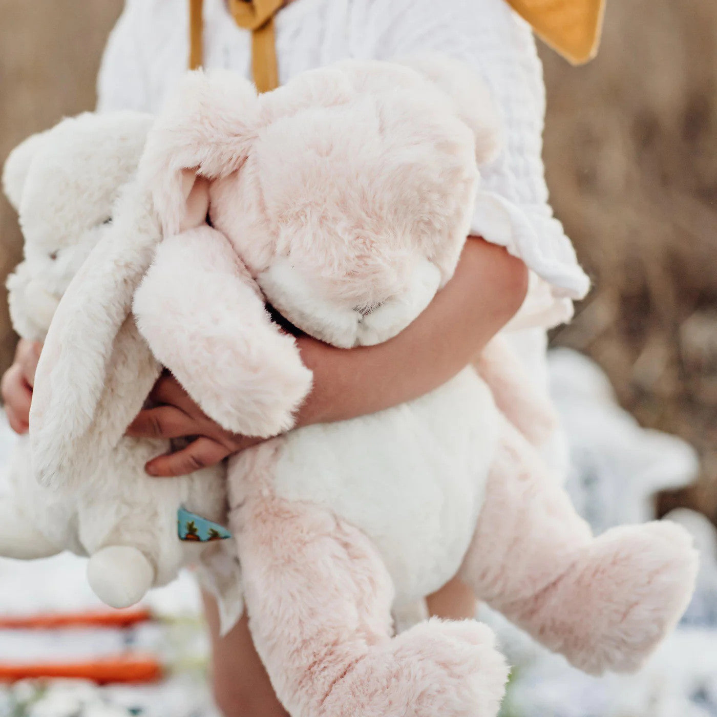 Soft Toys