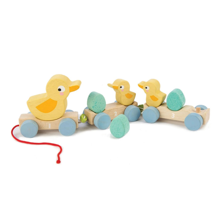 Tender Leaf - Pull Along Ducks