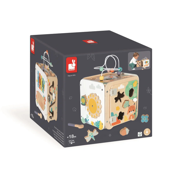 Janod Pure - Large Multi-Activity Cube