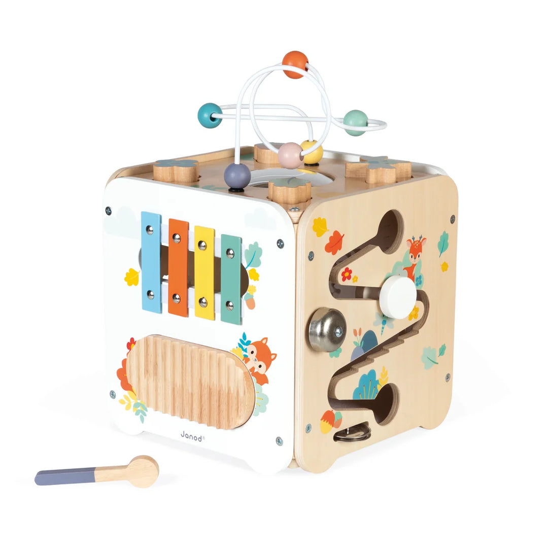 Janod Pure - Large Multi-Activity Cube