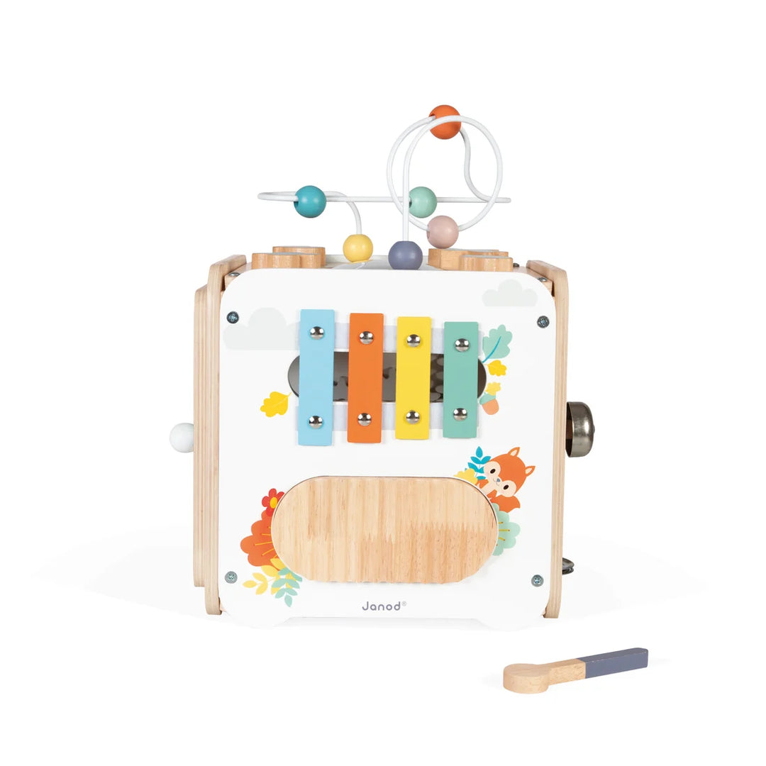 Janod Pure - Large Multi-Activity Cube