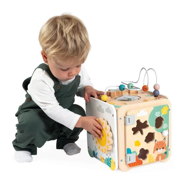 Janod Pure - Large Multi-Activity Cube