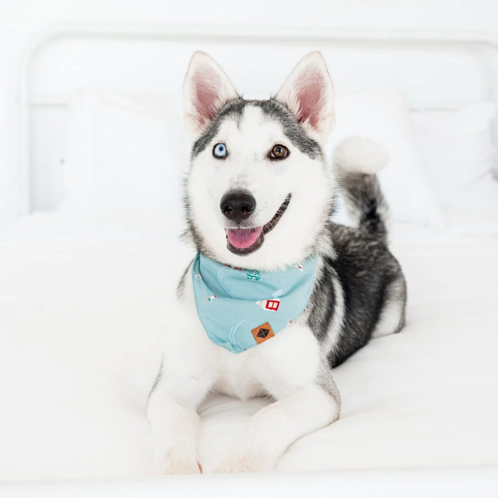 Kyte Baby Dog Bandana - Alpine Village
