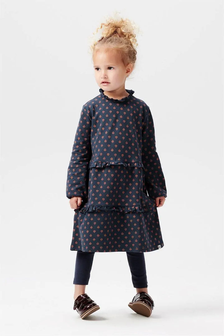 Noppies Kemp Mill Allover Print Long Sleeve Dress - Henna