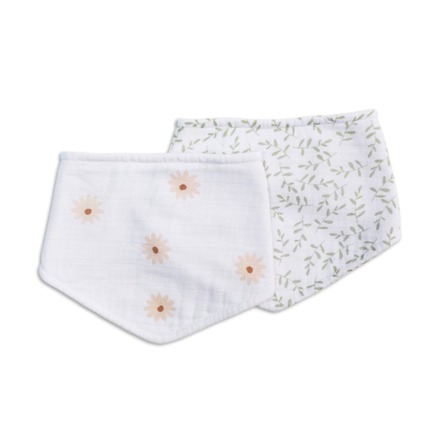 Lulujo Bandana Bibs 2pc